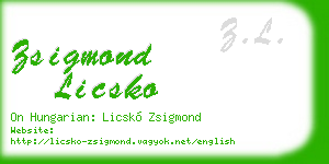 zsigmond licsko business card