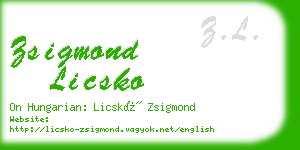 zsigmond licsko business card